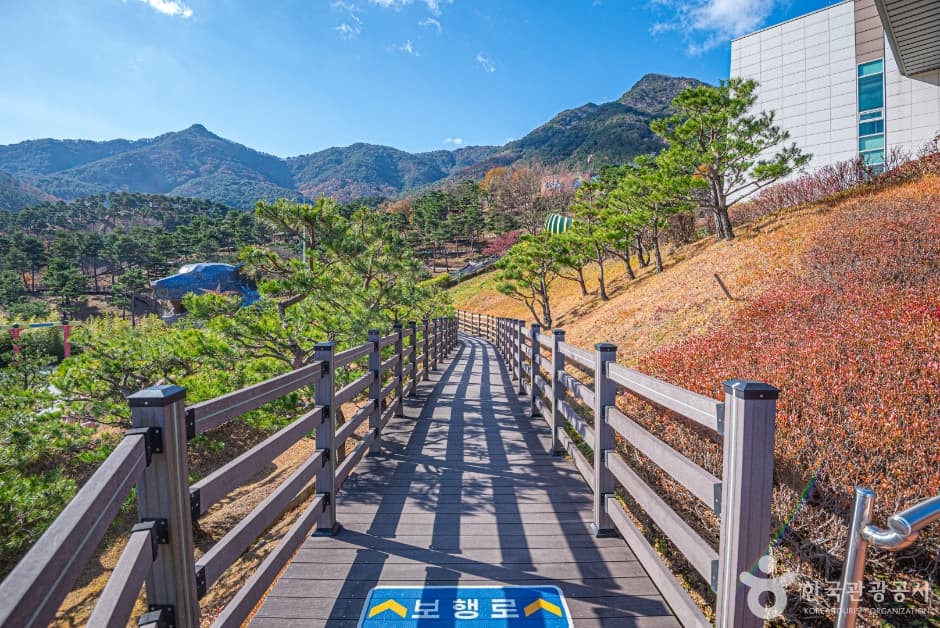 산청 동의보감촌_2