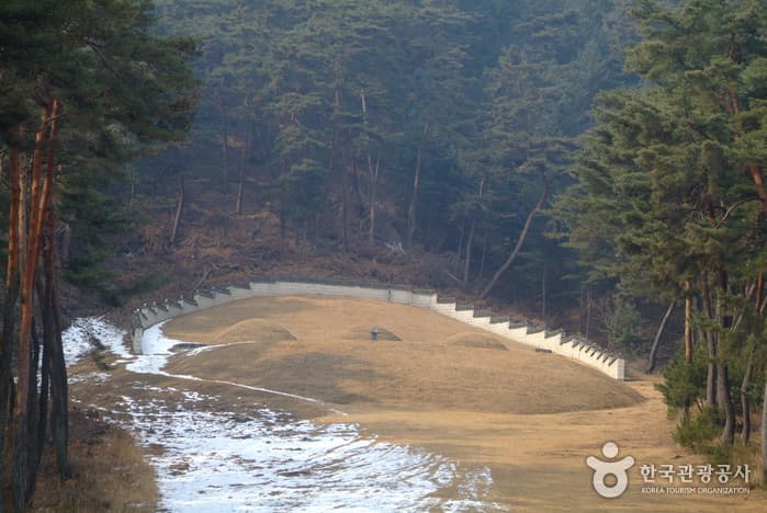 장절공 신숭겸묘역_10