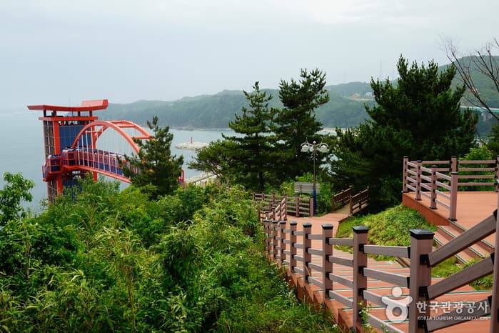 강원_삼척_30년 역사를 지닌 임원항과 수로부인헌화공원14