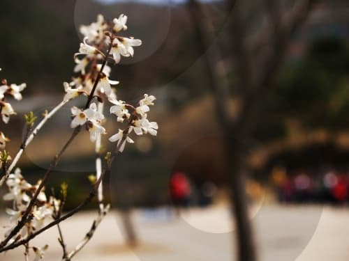 미동산 수목원_01