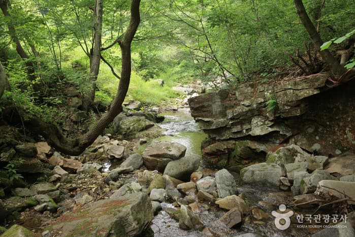 충청북도_진천군_연곡계곡_003
