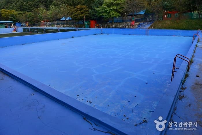 경기_용인_용인레저스포츠 야외수영장01