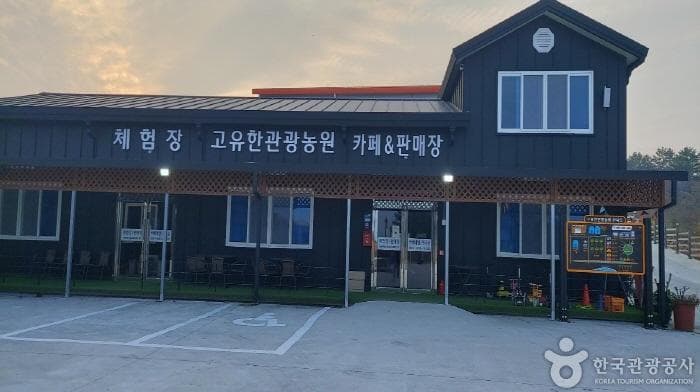 高柚观光农园度假民宿（고유한관광농원펜션）