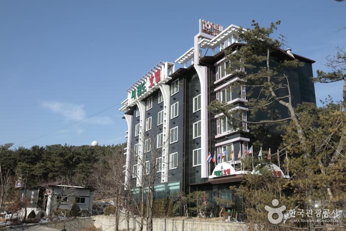 Hotel Seaworld (씨월드관광호텔)