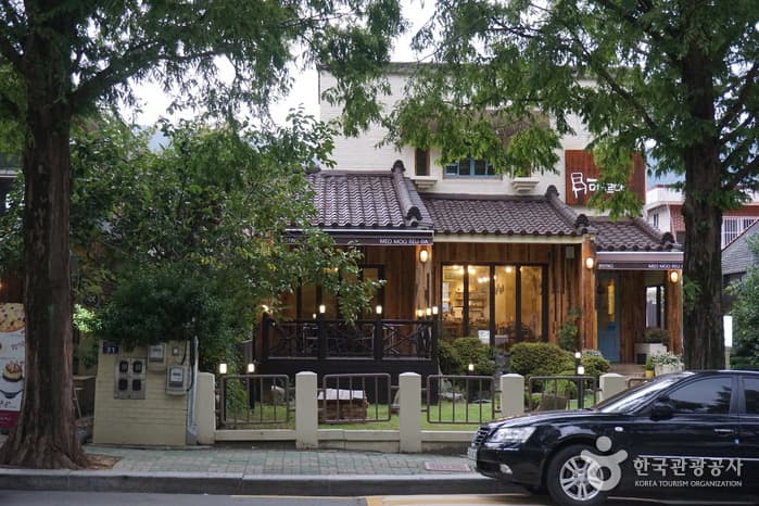Changwon Garosu-gil (창원 가로수길)