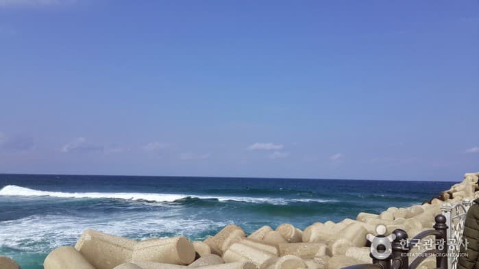 강원_강릉_안목해변05