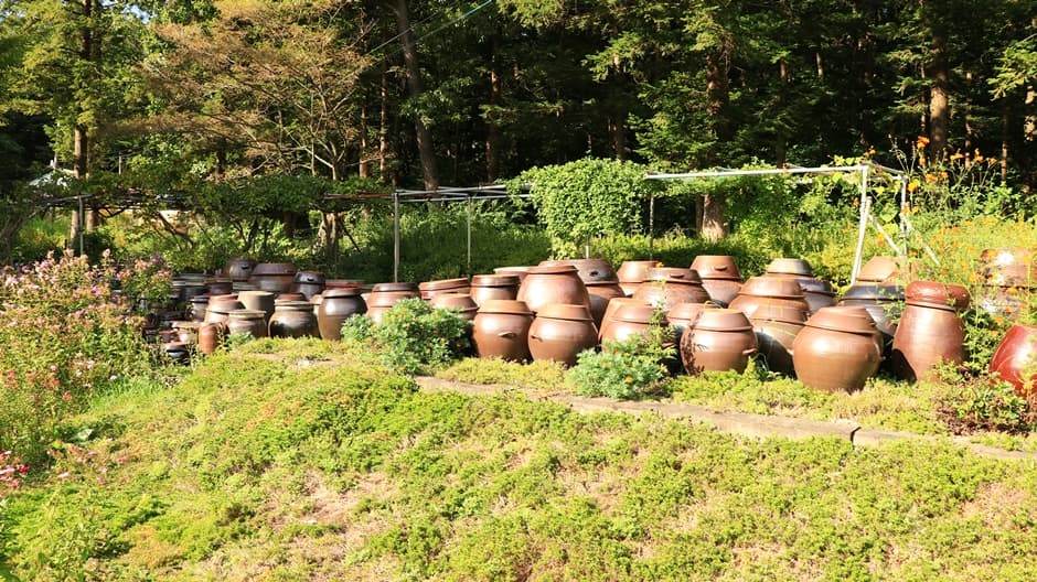 경기도_파주시_소령원숲속_장독대