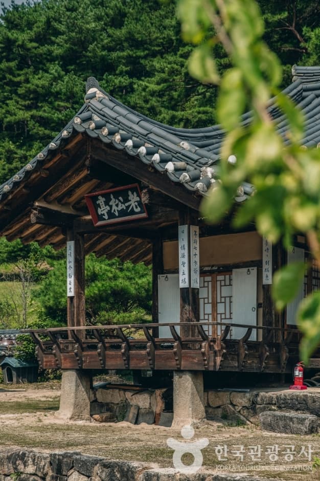 노송정종택_내부전경 4
