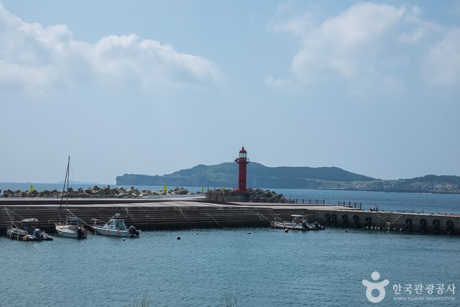 제주_서귀포_진미명가(16)