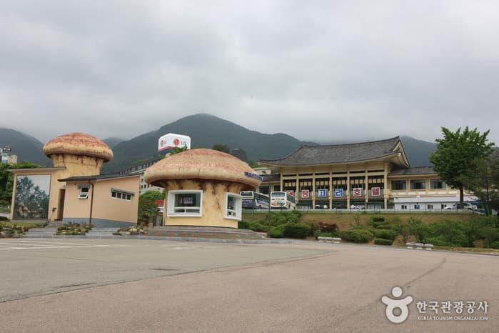 백암온천지구_13