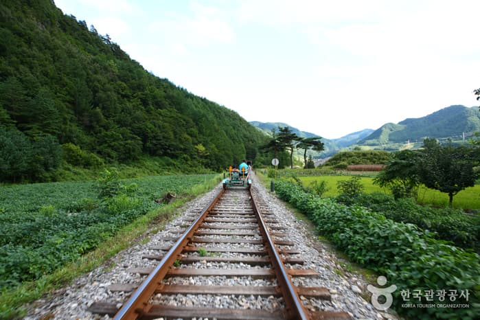 정선 레일바이크_24