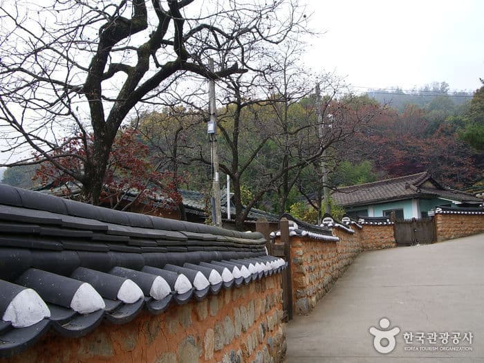 박정희대통령 생가_01