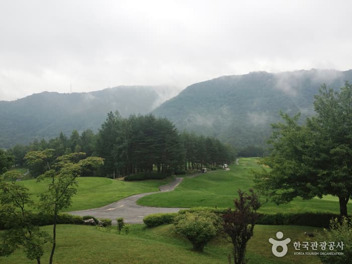Yongpyong Golf Club (용평 골프클럽)