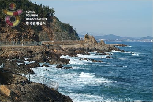 Samcheok Port – Along Saecheonnyeon Coastal Road (삼척항 - 새천년도로변)