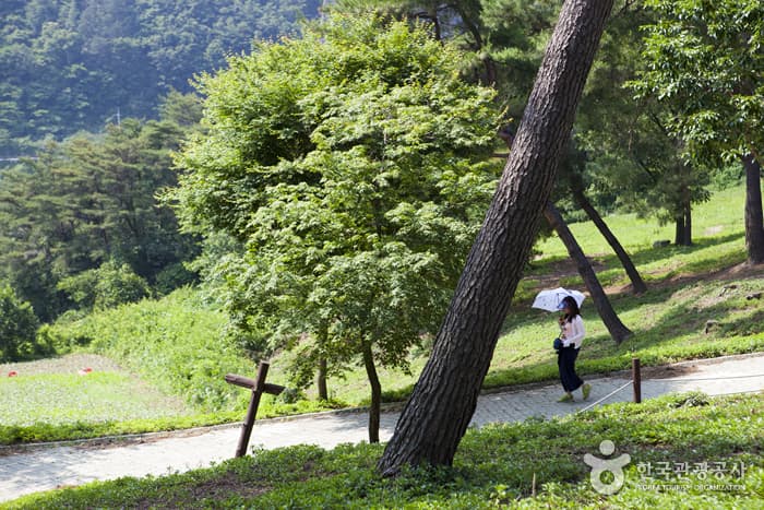 전북_정읍_구절초 향기를 맡으며 추령천을 따라 옥정호까지 힐링산책02