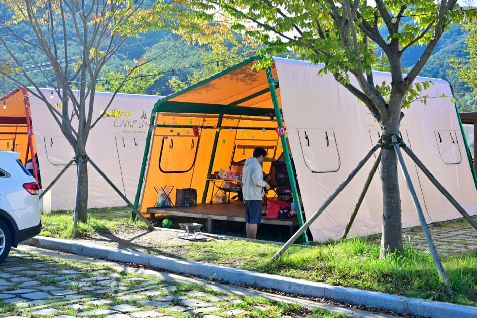 자양보오토캠핑장