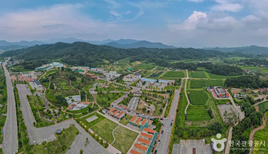 蚕丝昆虫事业场(잠사곤충사업장)