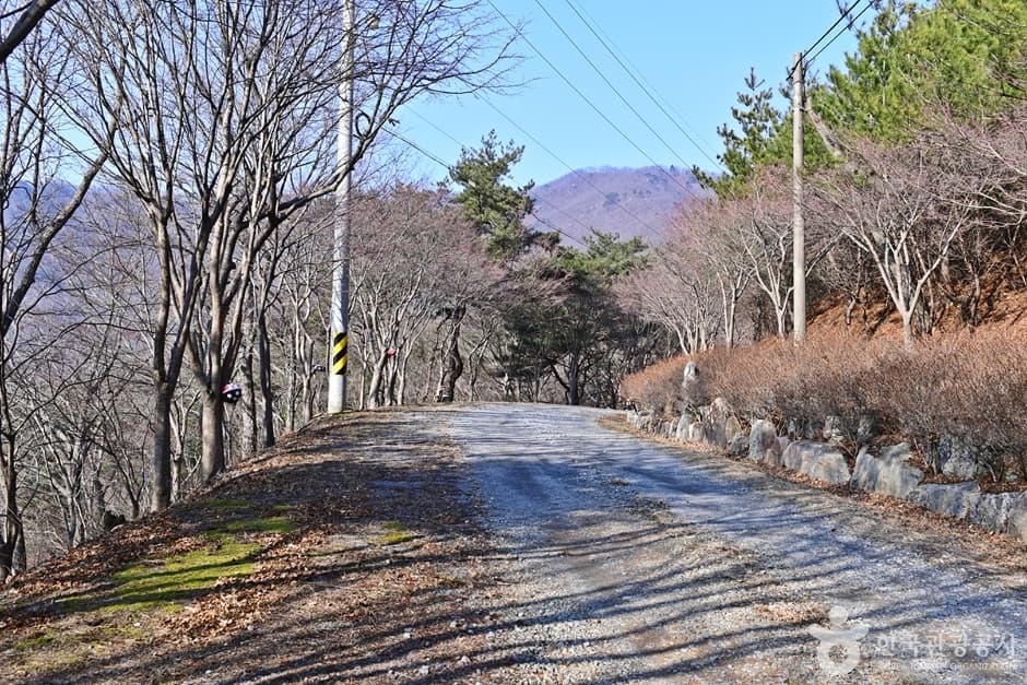 한천포레스트