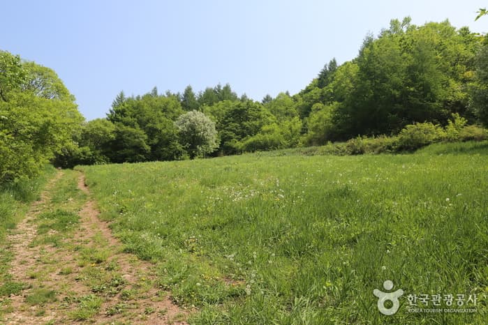 Taebaek Guwau Village (Alpine Botanical Garden) (태백 구와우마을(고원자생식물원))