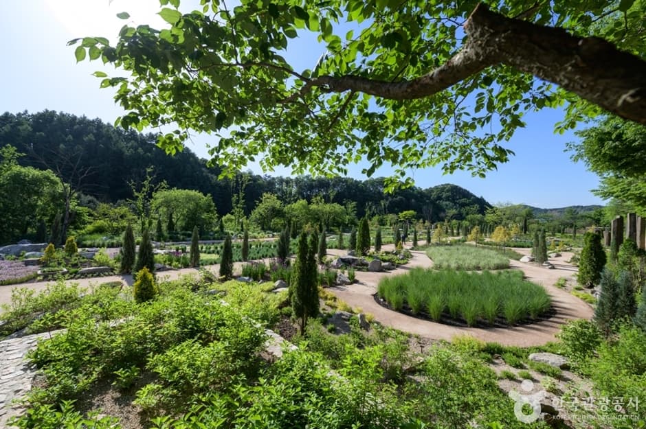 The Stay HEALING PARK（더스테이힐링파크）