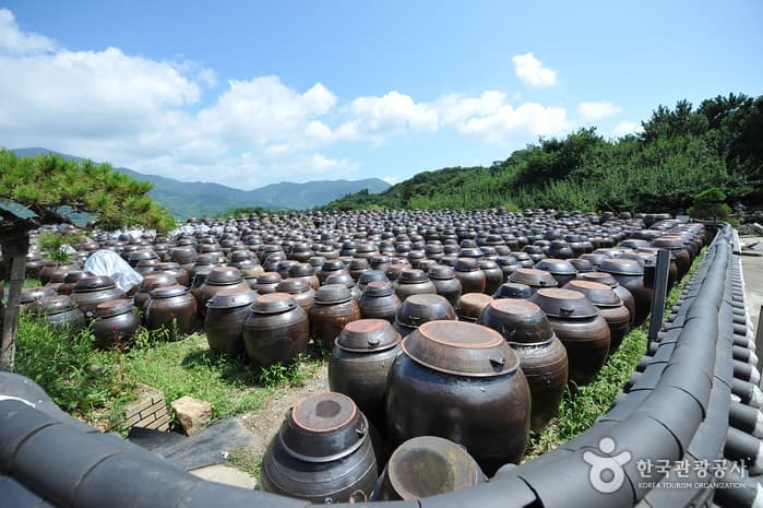 청매실농원