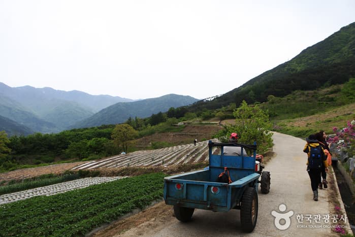 전북_남원_지리산둘레길_인월~금계82