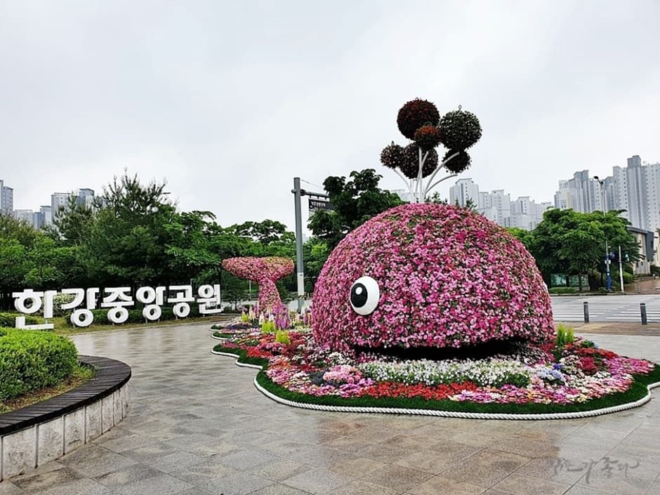 경기도_김포시_한강중앙공원_전경