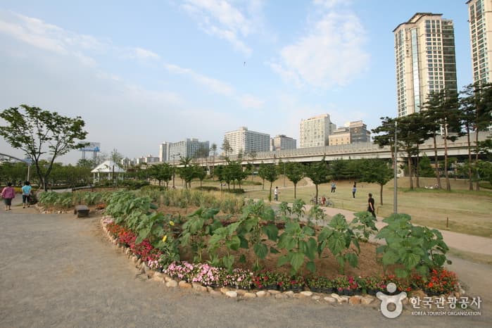 上洞湖水公园(상동호수공원)