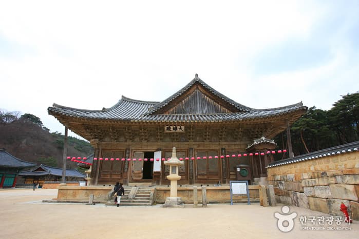 부처의 진신사리 만나러 가는 길