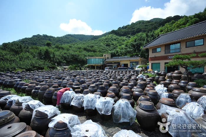 청매실농원
