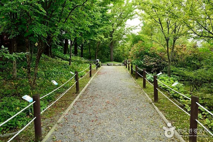 경기_성남_은행자연관찰원04