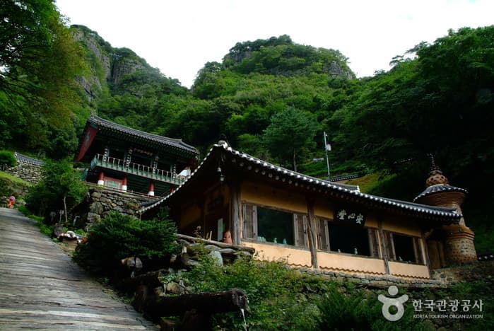 청량산에 올라 하늘다리를 건너다