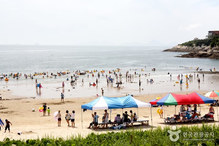 모항갯벌해수욕장_12