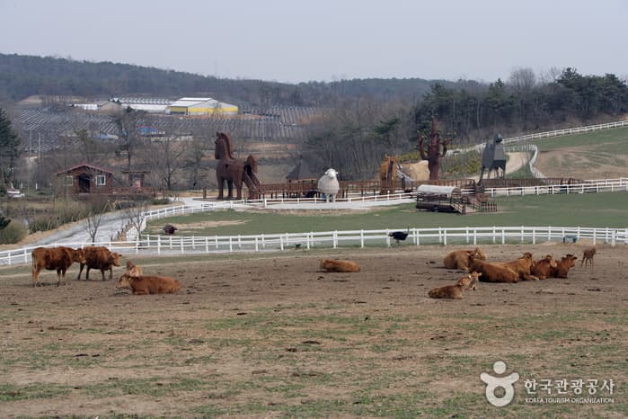 아그로랜드 태신목장00-1