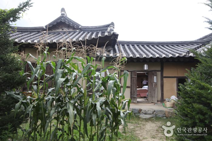 영주_무섬마을49