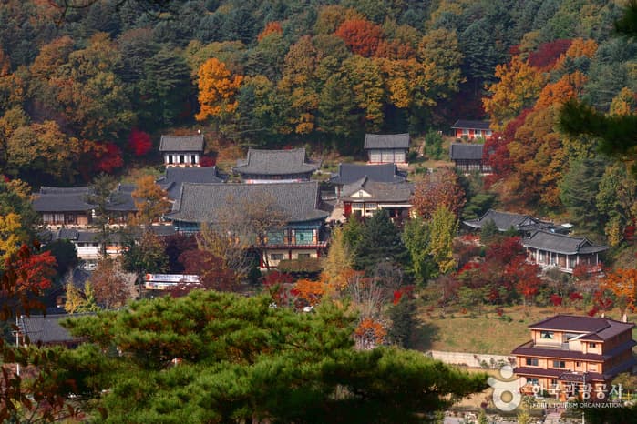 奉先寺（京畿道） 봉선사(경기)