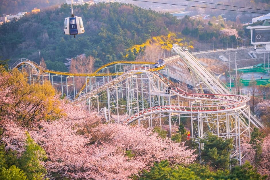이월드 (3)