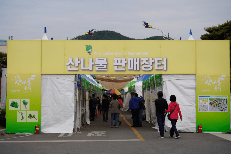 영양 산나물축제_02