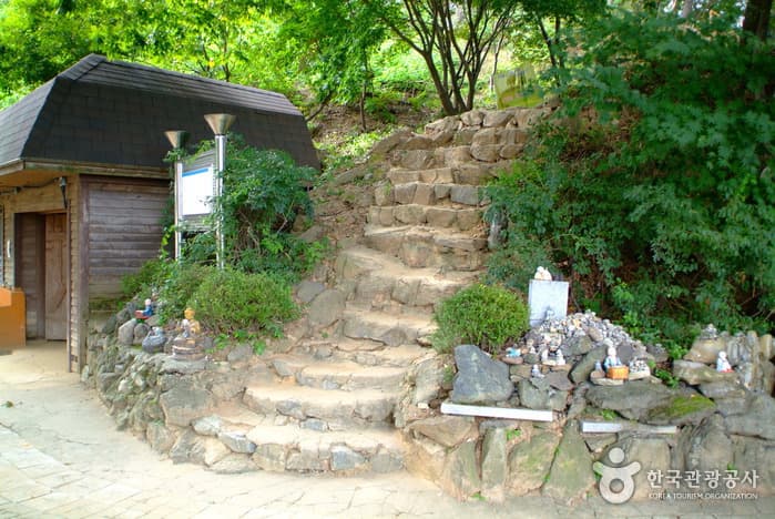 동물 좋아하는 아이는 다 모여라!