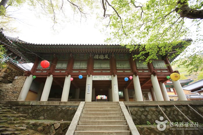 경상남도_남해군_호구산 용문사_031
