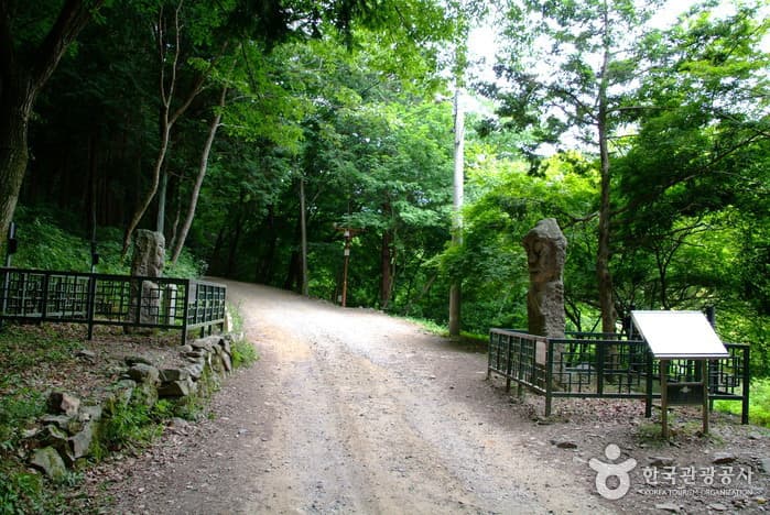 불회사석장승_04