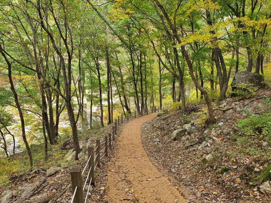 장령산자연휴양림_1