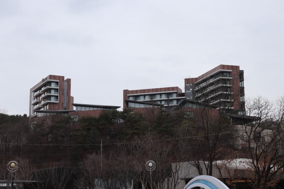 수안보온천 관광특구 (8)