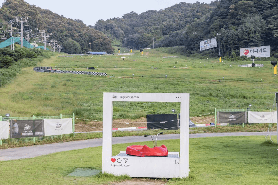 루지월드 (비발디파크 루지월드) (4)