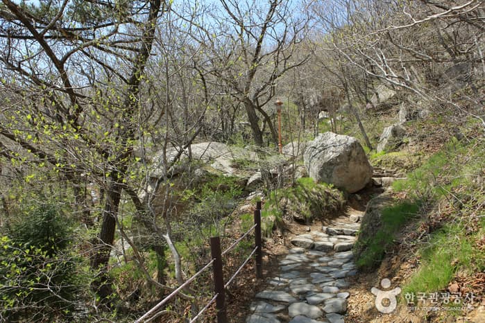 경상남도_남해군_남해 금산_024