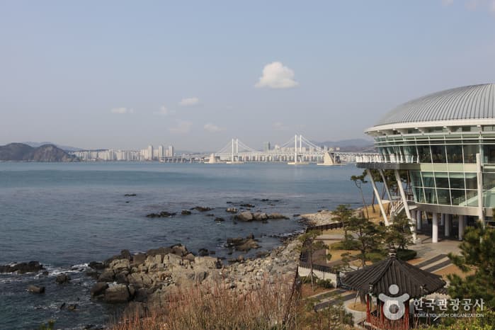 Dongbaek Island