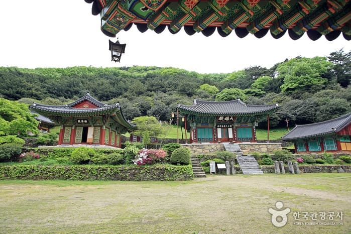 전남_나주_메타세쿼이아길17