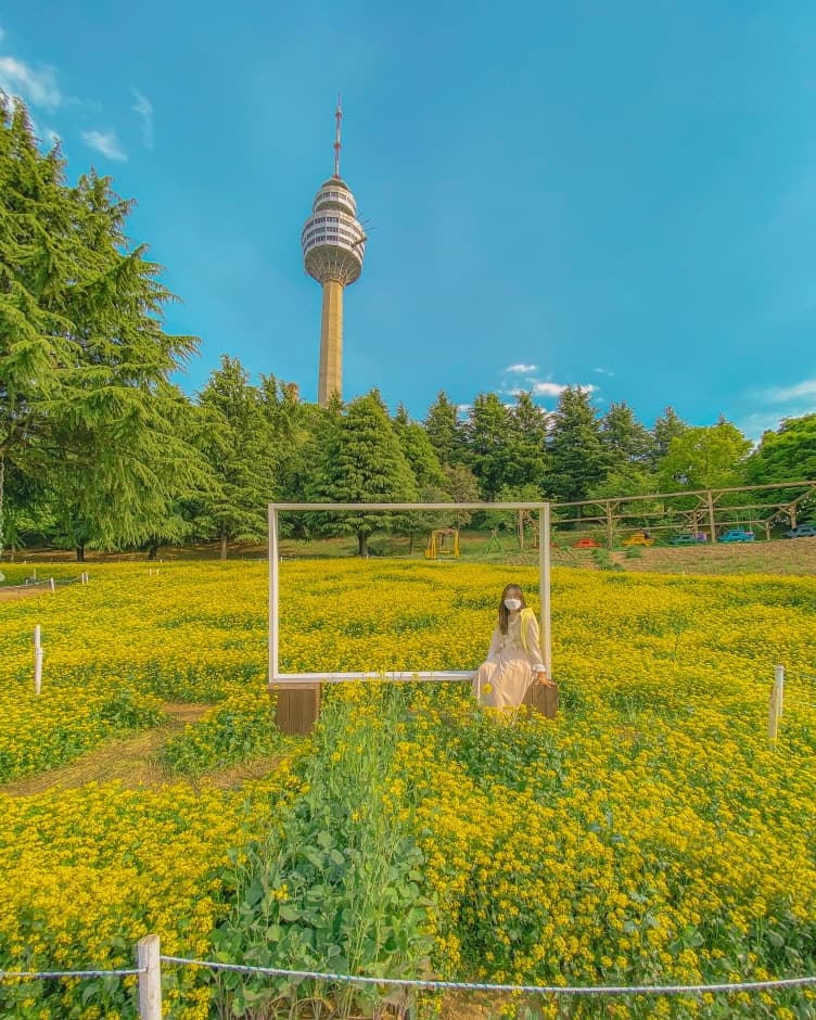 이월드 (6)