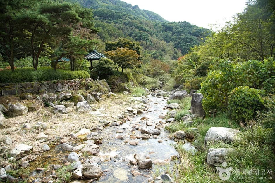 금대계곡 (9)