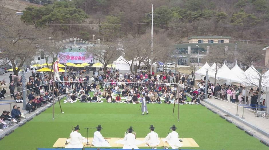 2024 제천 청풍호 벚꽃축제 이미지 3